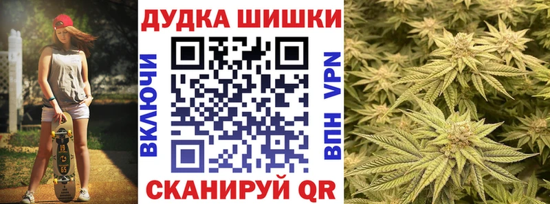 Каннабис планчик  как найти закладки  Злынка 